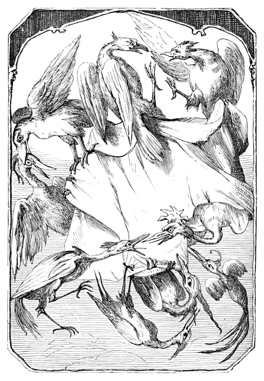 Aasinkaalit, 1901 tekijältä Edward Henry Wehnert