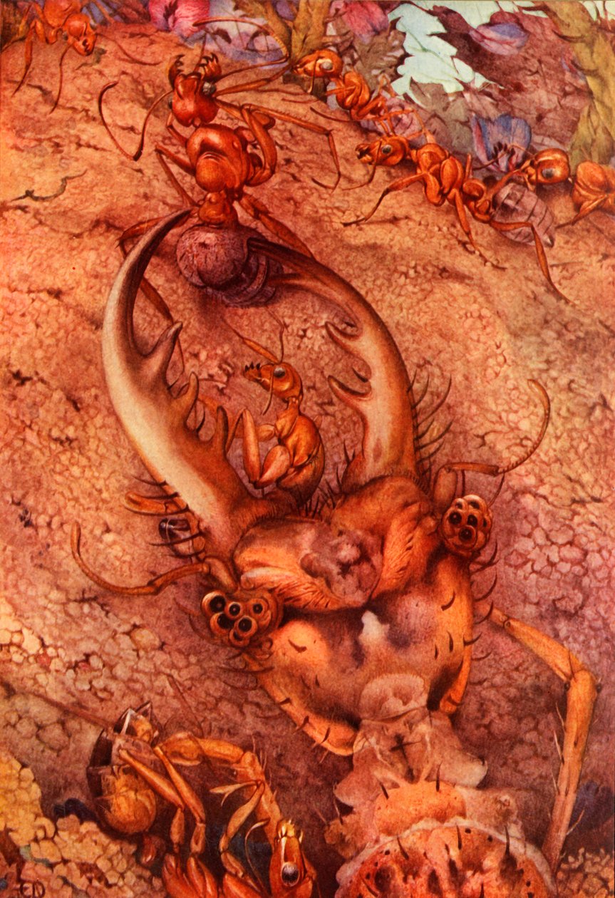 The Ant Lion, 1914. DELETE - tekijänoikeudella suojattu taiteilija tekijältä Edward Julius Detmold