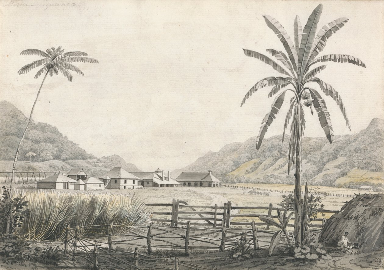 Näkymä Hall-head Sugar Plantationille, Jamaika tekijältä Edward Kennion