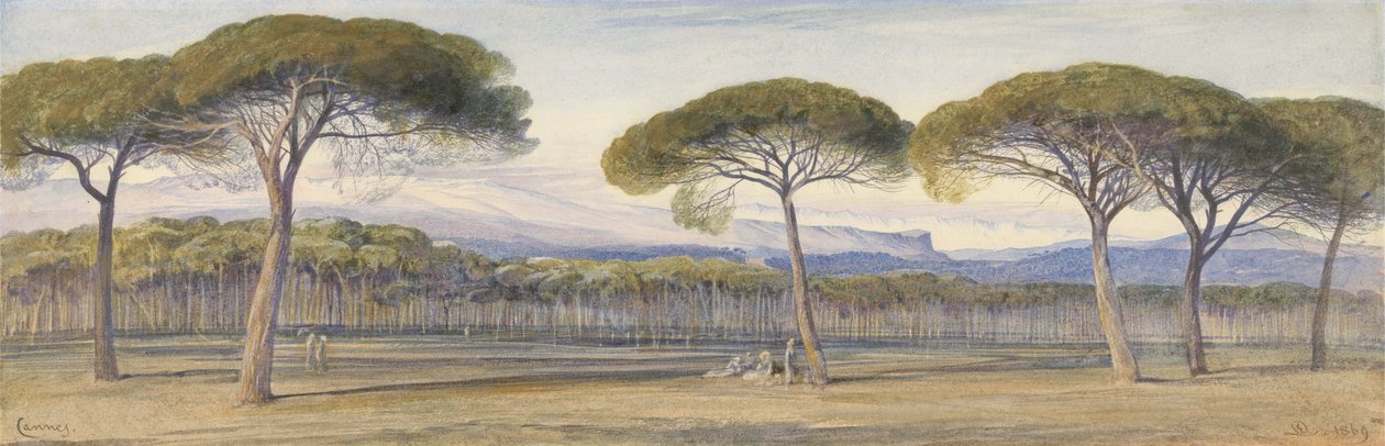 Näkymä mäntymetsään Cannesin yläpuolella tekijältä Edward Lear
