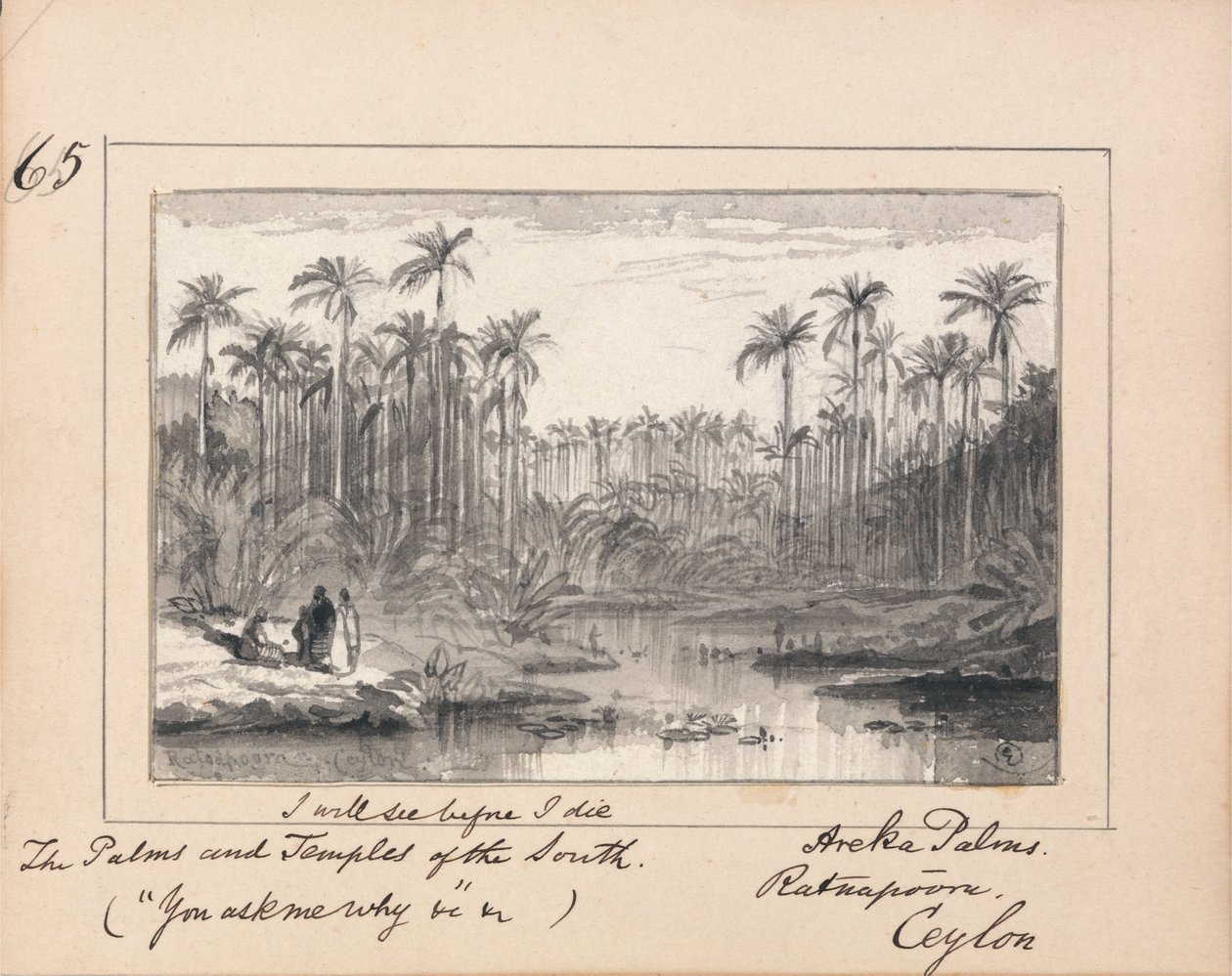 Areca Palms, Ratnapura, Ceylon - `` Näen ennen kuolemaani Eteläpalmat ja temppelit 