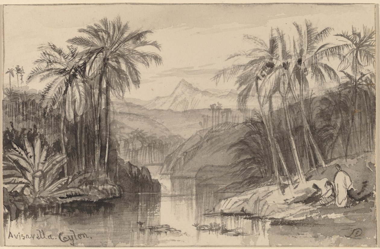 Avisavella, Ceylon tekijältä Edward Lear