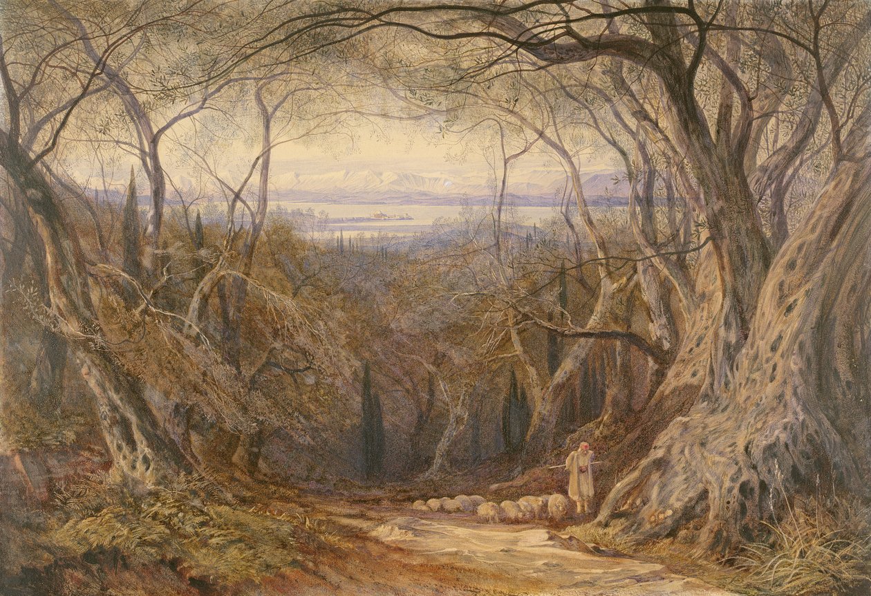 Korfu tekijältä Edward Lear