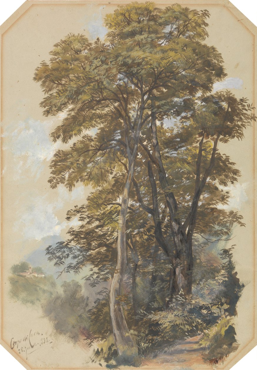Corpo di Cava, 28. kesäkuuta 1838 tekijältä Edward Lear