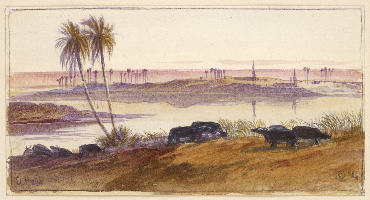 El Hon, Egypti, 1884 (akvarelli ja kynä ja muste vartalovärillä) tekijältä Edward Lear