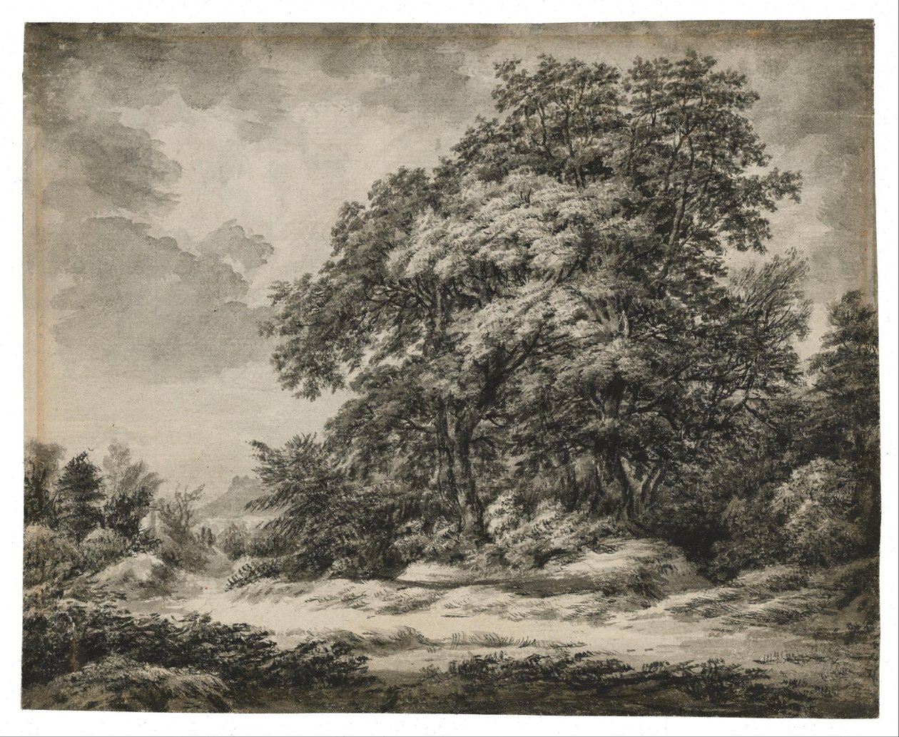Metsä maisema tekijältä Edward Lear