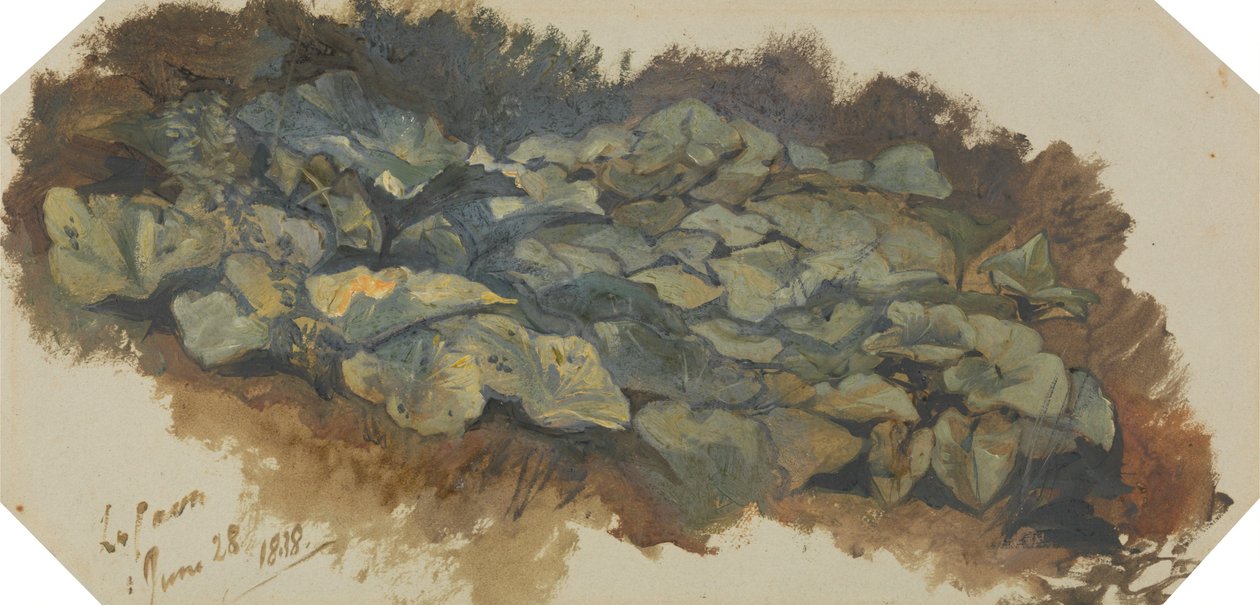La Cava tekijältä Edward Lear