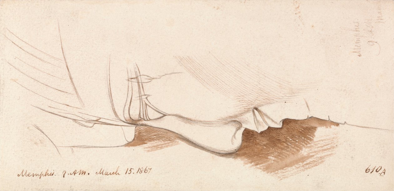 Memphis tekijältä Edward Lear