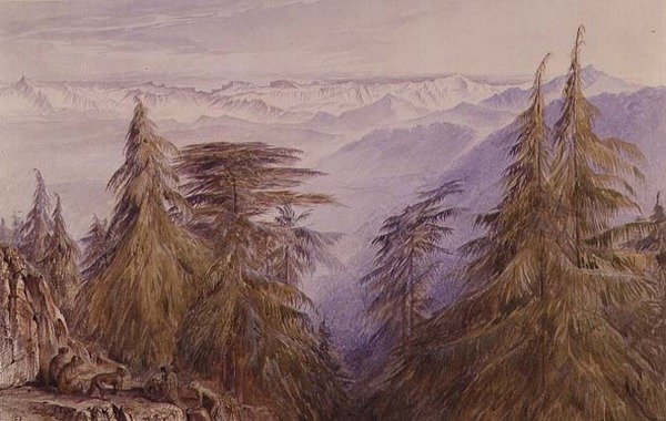 Apinoita kalliolla lähellä Simlaa, Pohjois-Intiassa tekijältä Edward Lear