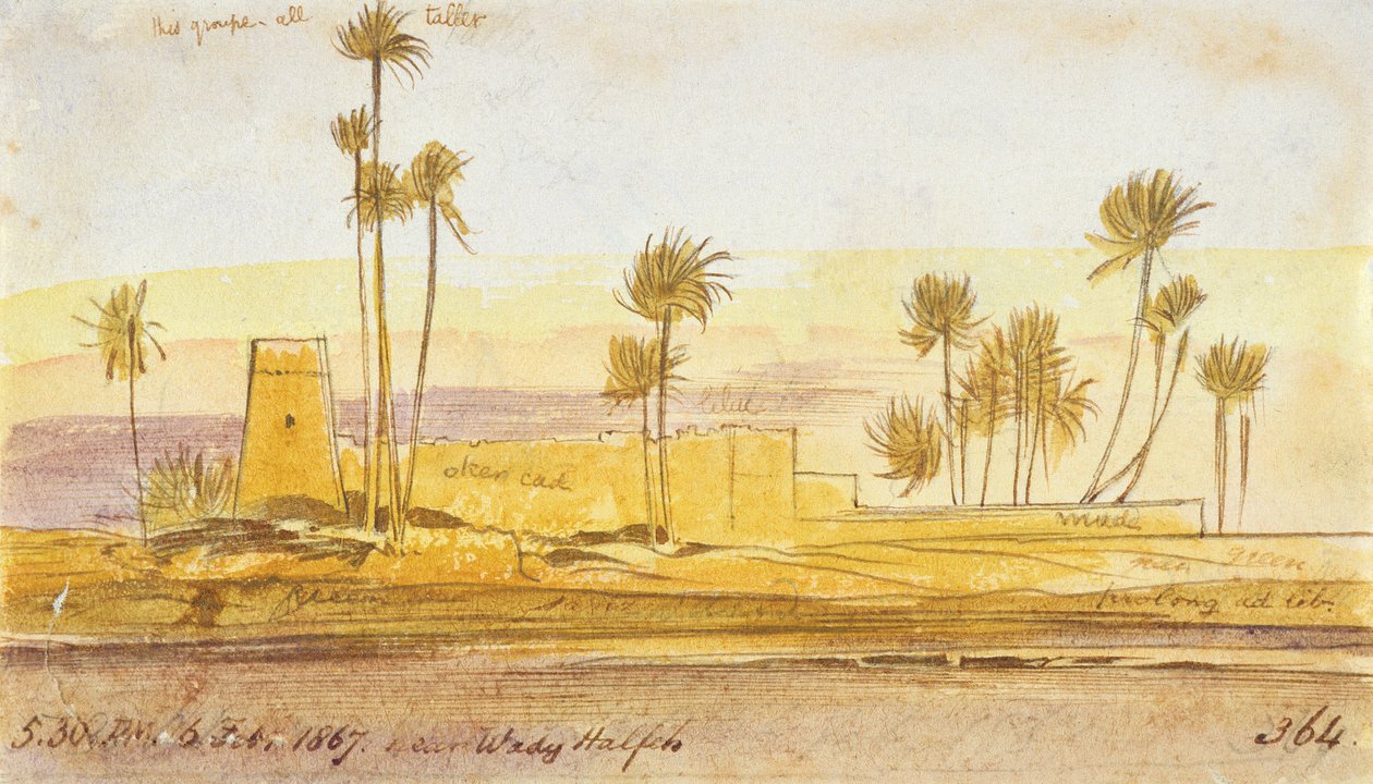 Lähellä Wady Halfehia, 17.30, 6. helmikuuta 1867 (muste ja wc) tekijältä Edward Lear