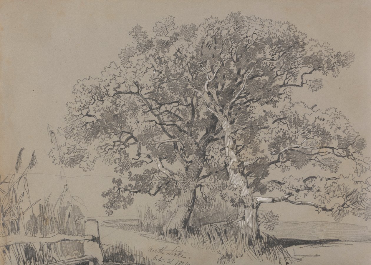 North Stoke. 21. lokakuuta 1834. tekijältä Edward Lear
