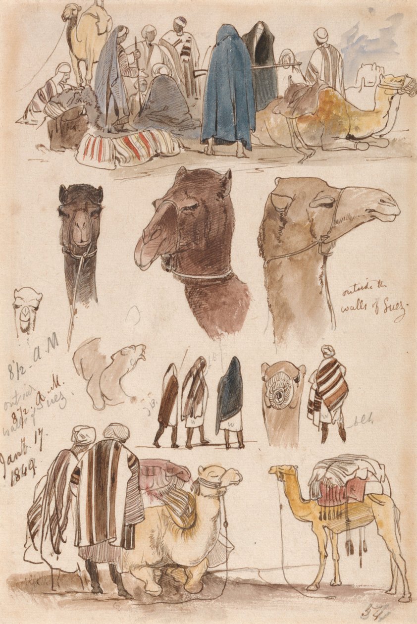 Suezin muurien ulkopuolella, klo 8.30, 17. tammikuuta 1849 (54) tekijältä Edward Lear