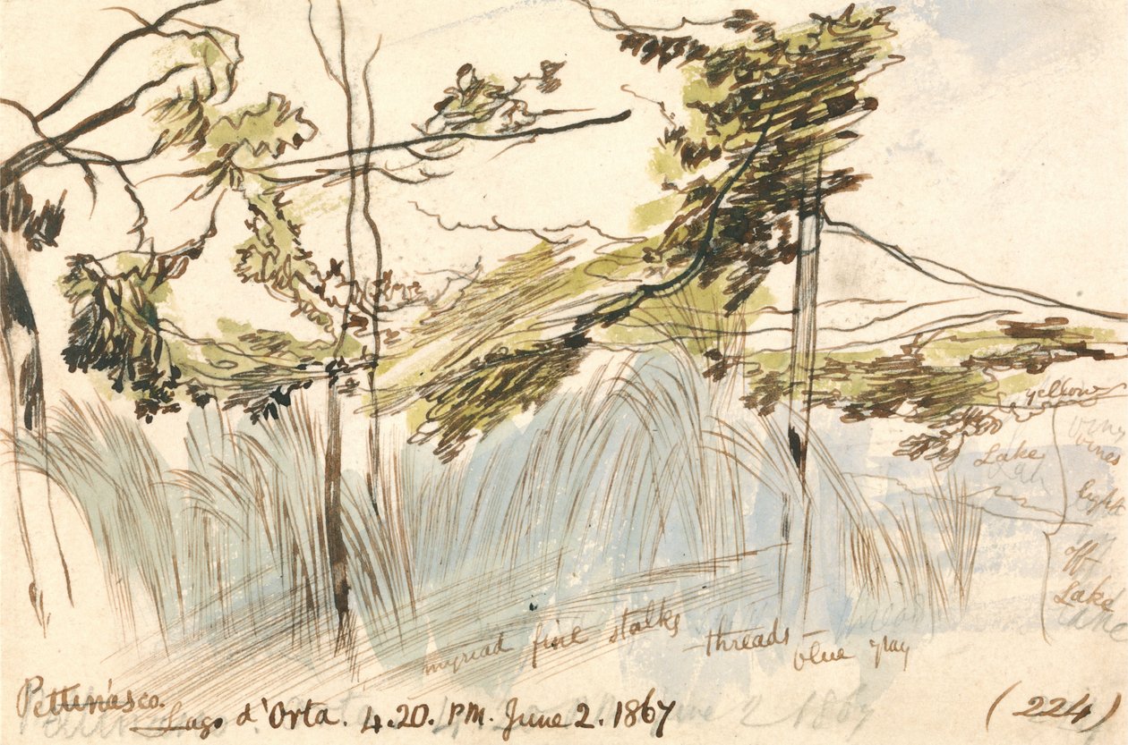 Pettenasco, Ortajärvi, klo 16.20, 2. kesäkuuta 1867 (224) tekijältä Edward Lear