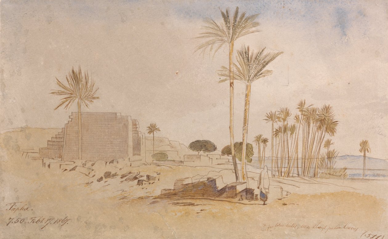 Tapha, 7:50, 17. helmikuuta 1867. tekijältä Edward Lear