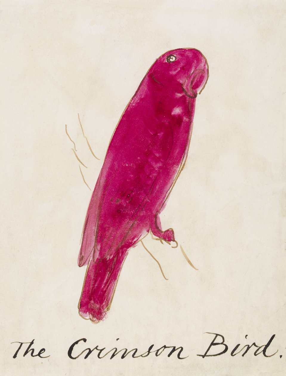 The Crimson Bird, kuudestatoista piirroksesta sarjakuvamaisia lintuja (tussi ja muste paperille). tekijältä Edward Lear