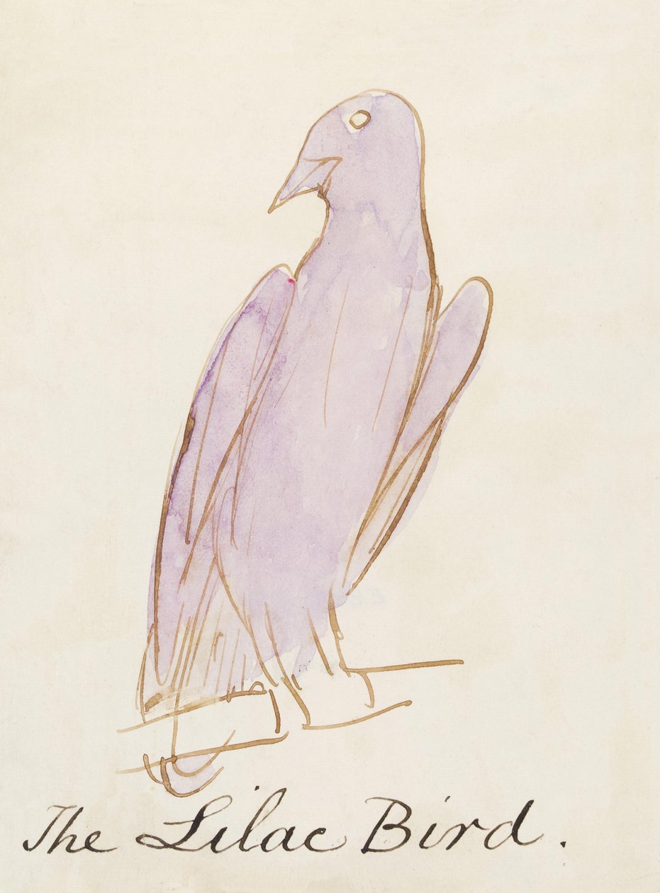 The Lilac Bird, kuudestatoista piirroksesta sarjakuvamaisia lintuja (kynä ja tussi wc paperille). tekijältä Edward Lear
