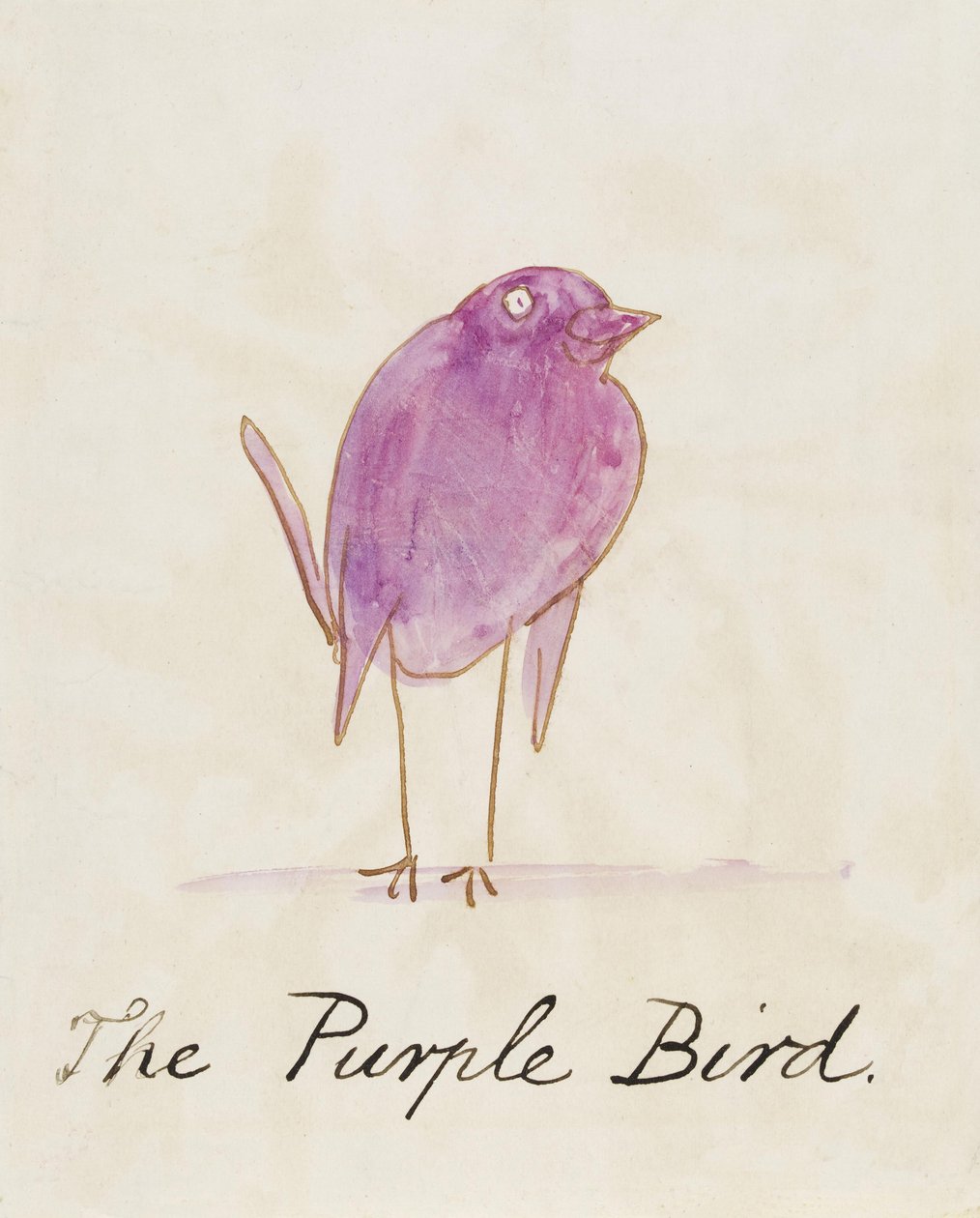 Violetti lintu, elokuvasta "Sixteen Drawings of Comic Birds" tekijältä Edward Lear