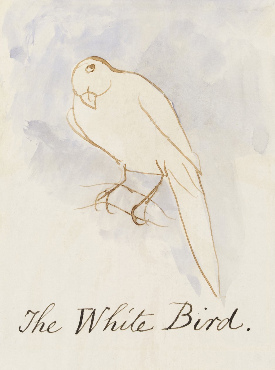 Valkoinen lintu, sarjasta Sixteen Drawings of Comic Birds (kynä & muste wc paperille) tekijältä Edward Lear