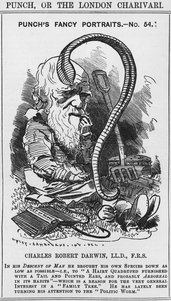 Charles Darwin, Punchin hienot muotokuvat, nro 54, kuvitus teoksista "Punch" tai "The London Charivari" tekijältä Edward Linley (after) Sambourne