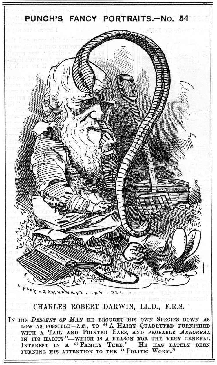 Charles Darwin (1809-1882) englantilainen luonnontieteilijä. Evoluutio luonnollisella valinnalla. Edward Linley Sambournen (1844-1910) sarjakuva Fancy Portrait -sarjassa Punchissa Lontoossa 1881, vuonna 1881, jolloin Darwin julkaisi The Formation of Vegeta tekijältä Edward Linley Sambourne