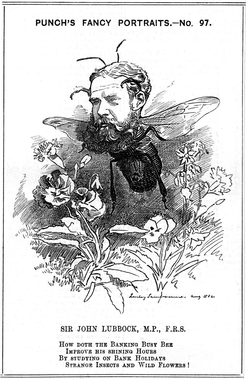 John Lubbock, ensimmäinen Baron Avebury, englantilainen pankkiiri, arkeologi, luonnontieteilijä ja poliitikko, 1882 tekijältä Edward Linley Sambourne