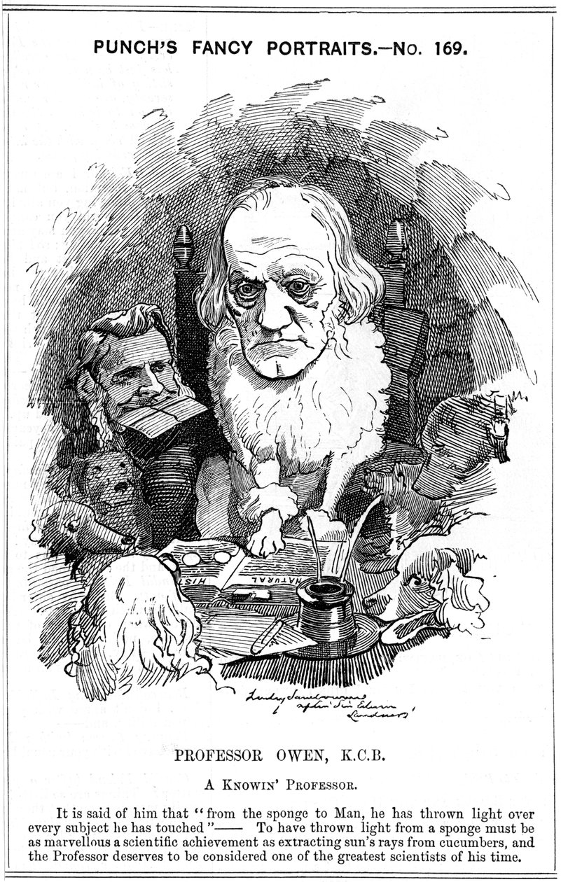 Richard Owen, englantilainen eläintieteilijä, 1884 tekijältä Edward Linley Sambourne