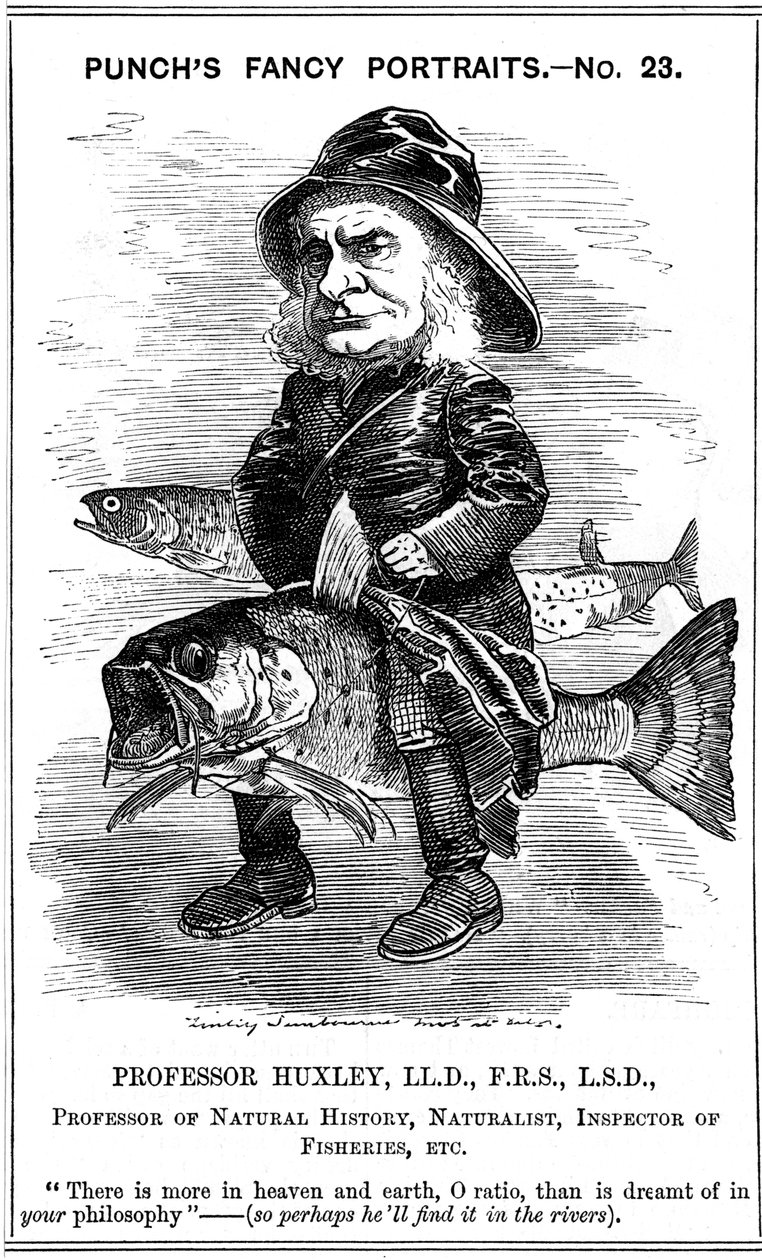 Thomas Henry Huxley, englantilainen biologi, 1881 tekijältä Edward Linley Sambourne