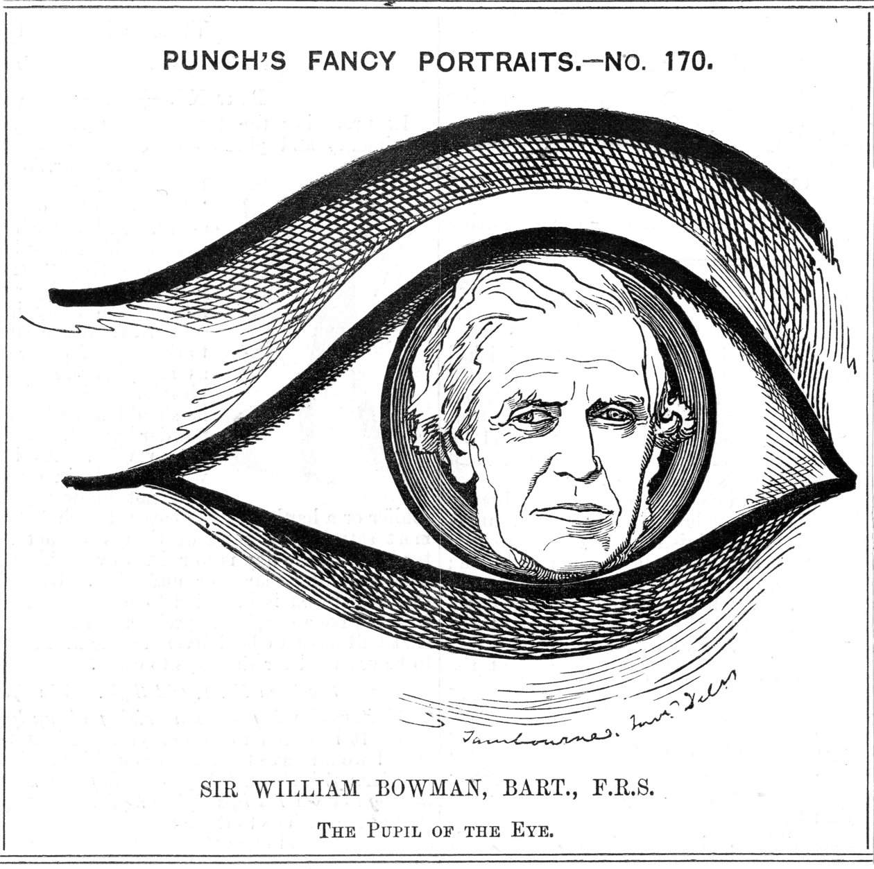 William Bowman, englantilainen anatomi, kirurgi ja silmälääkäri, 1884 tekijältä Edward Linley Sambourne