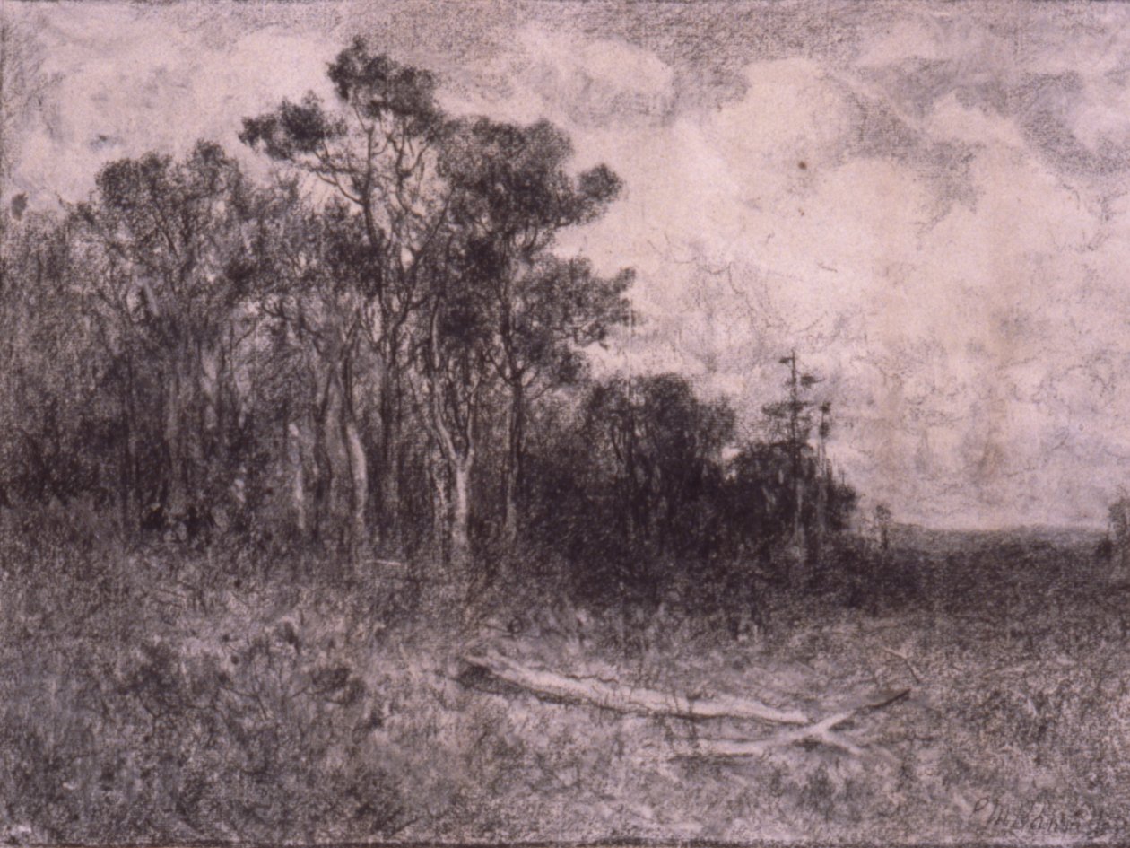 Maisema, Metsämaisema tekijältä Edward Mitchell Bannister