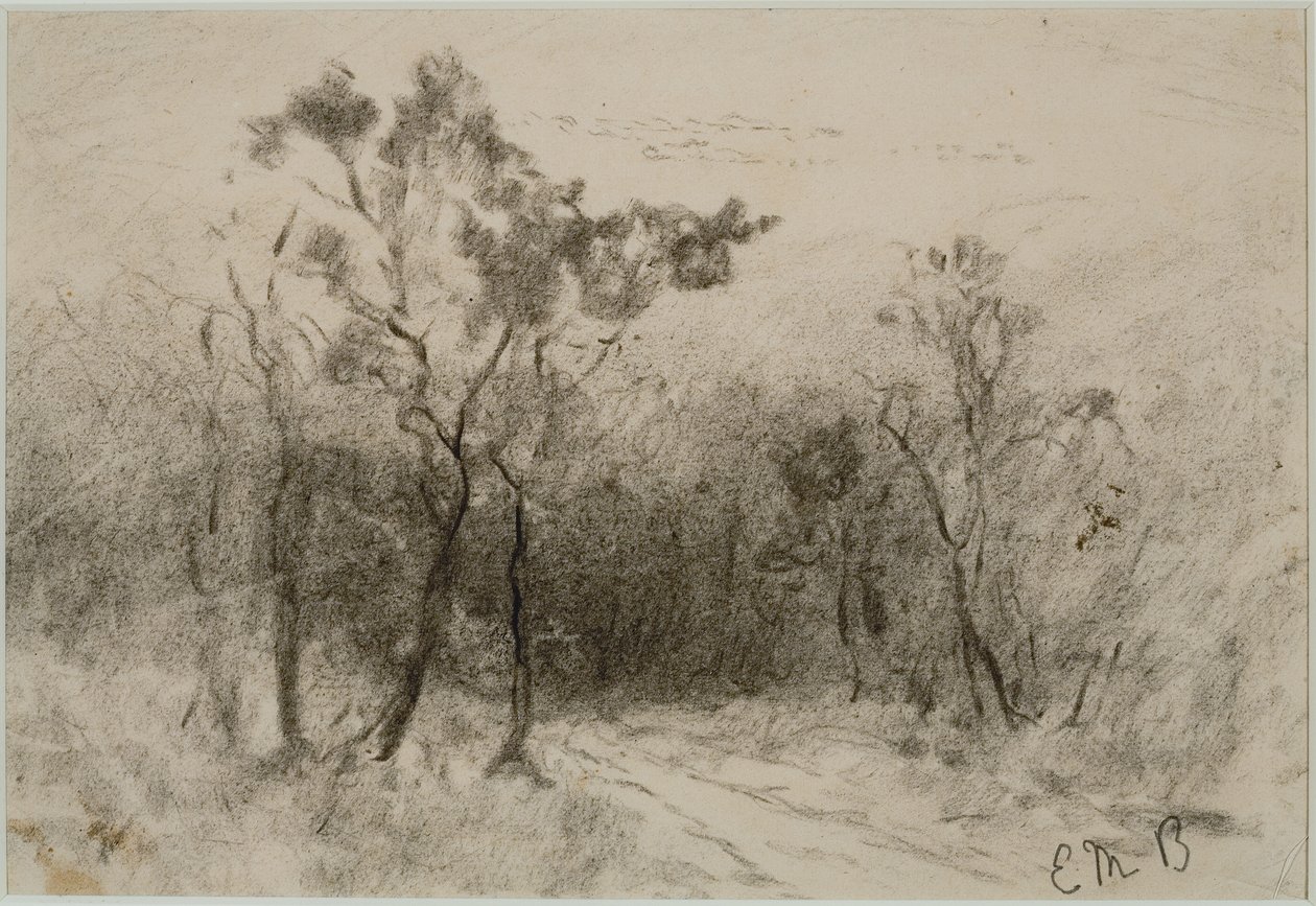Maisema polulla (#51), c. 1880-luku (hiili paperilla) tekijältä Edward Mitchell Bannister
