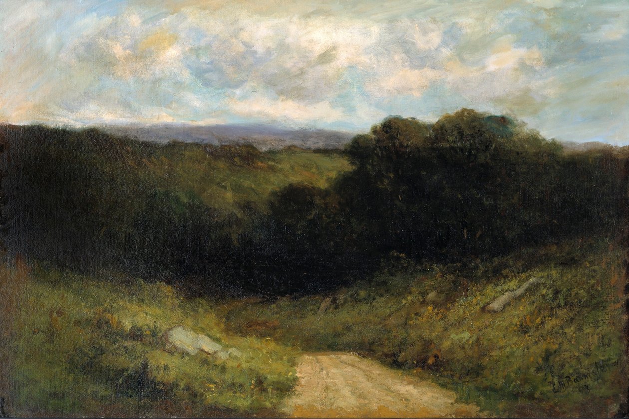 Tie laaksoon tekijältä Edward Mitchell Bannister