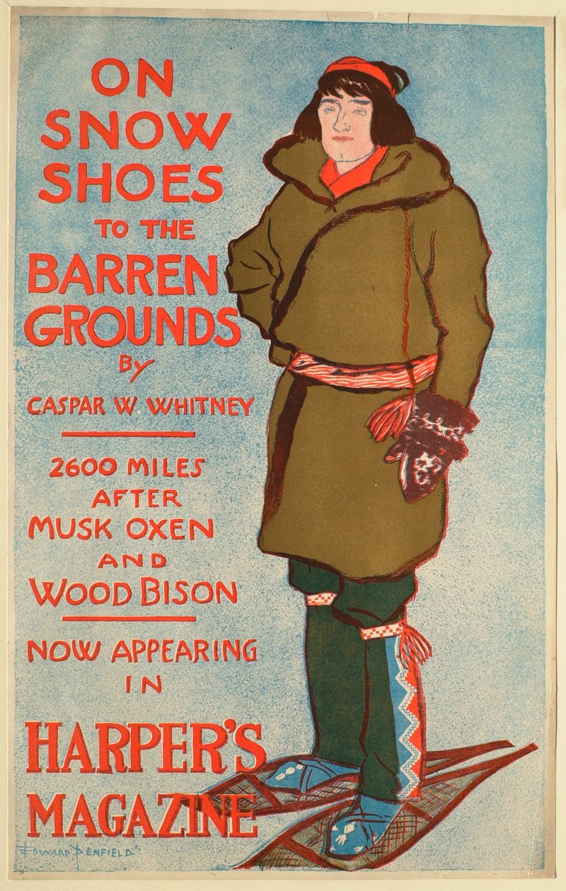 Auf Schneeschuhen zum Ödland tekijältä Edward Penfield