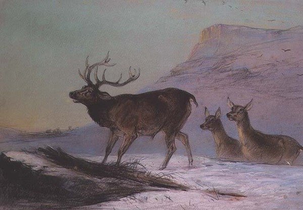 Talvi (pastelli) tekijältä Edward Robert Smythe