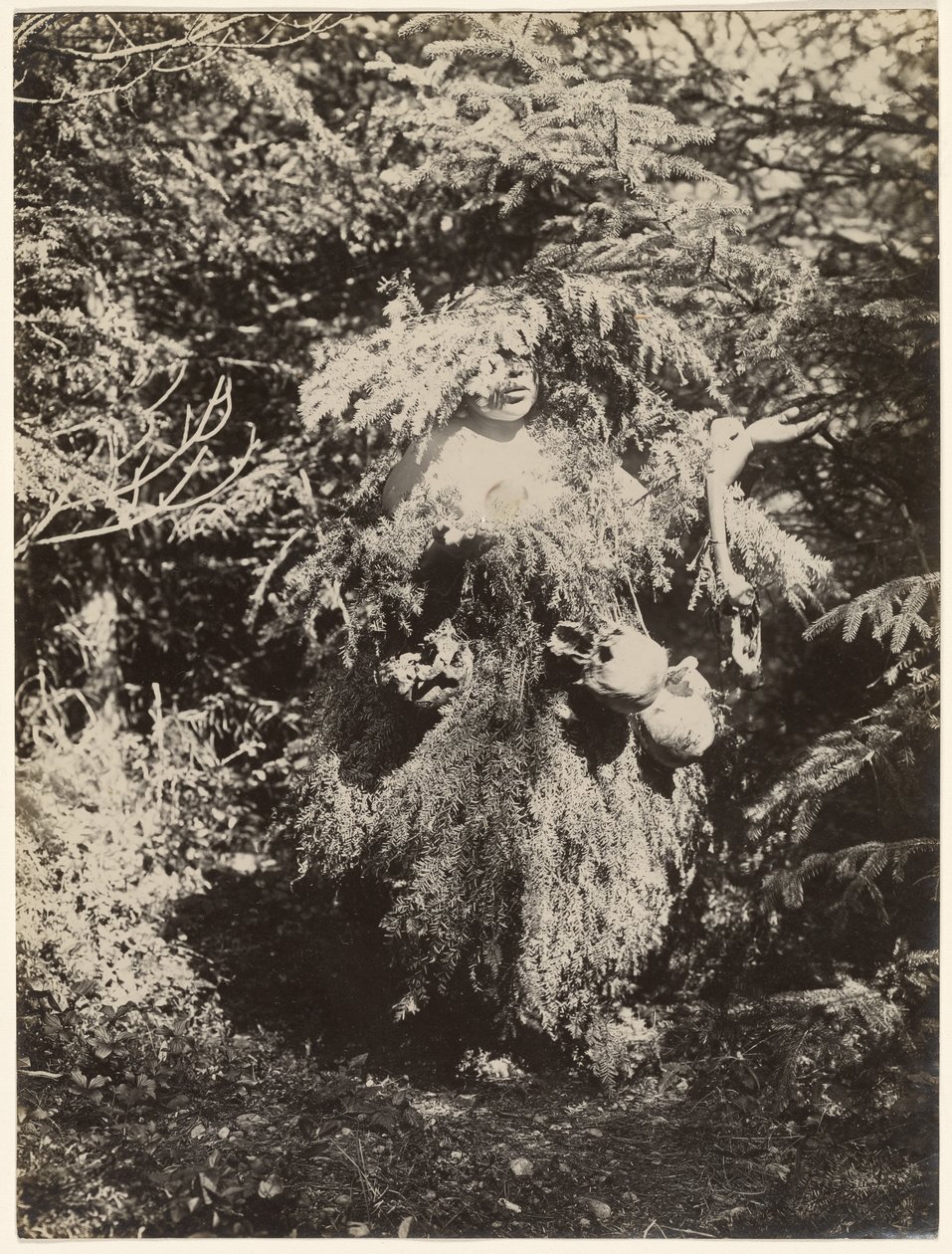 [Ghost Dancer - Kwakiutl] tekijältä Edward S. Curtis