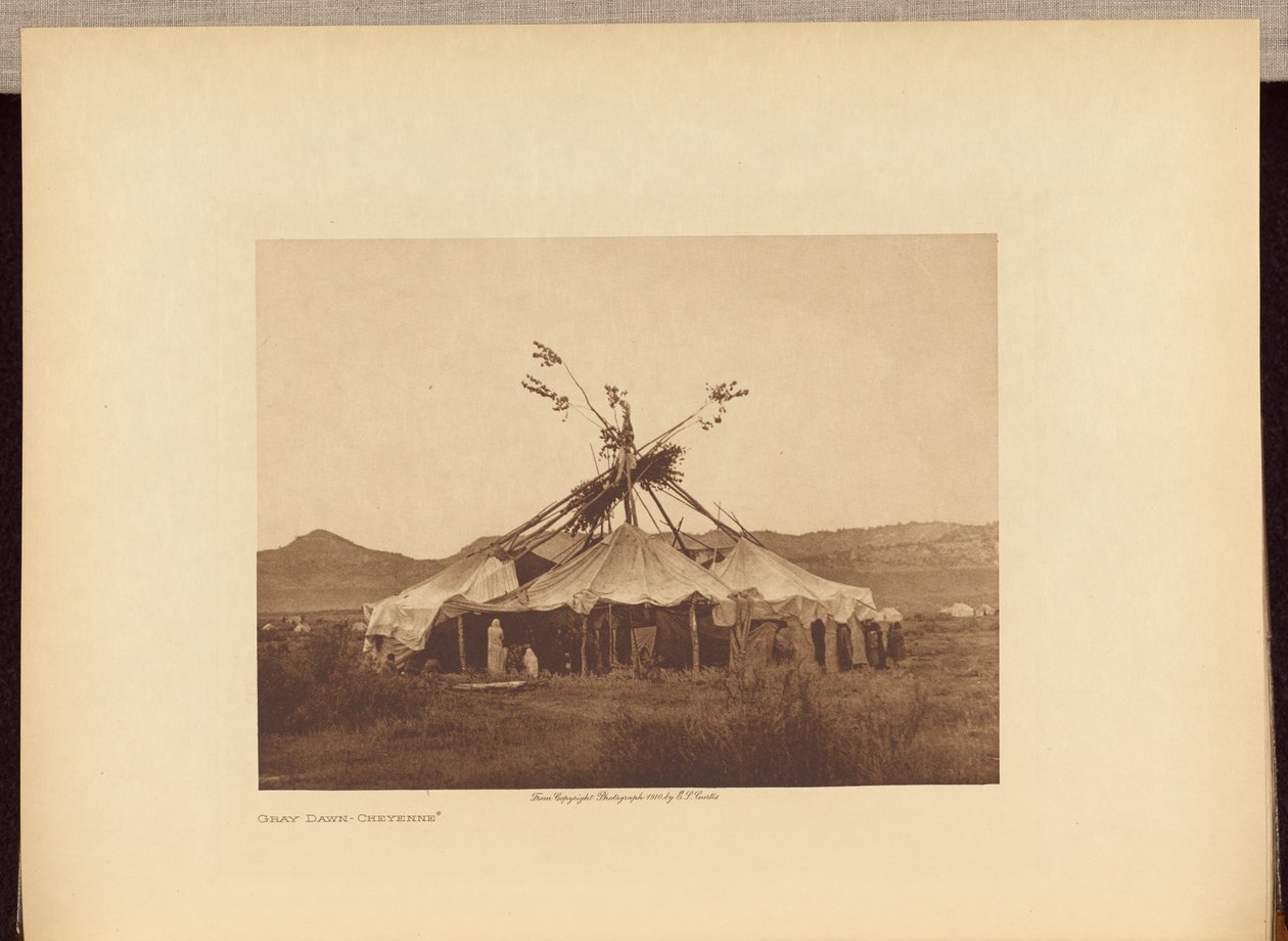 Gray Dawn - Cheyenne tekijältä Edward S. Curtis