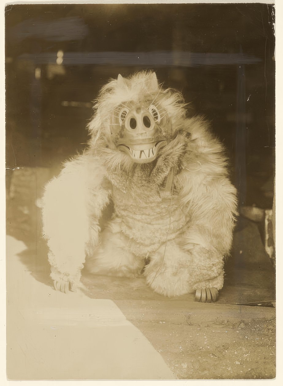 Suden naamiossa tekijältä Edward S. Curtis