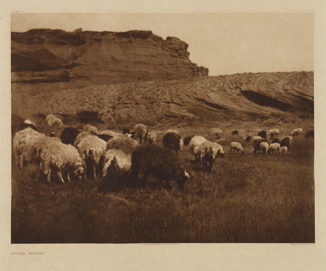 [Navajojen laumat] tekijältä Edward S. Curtis