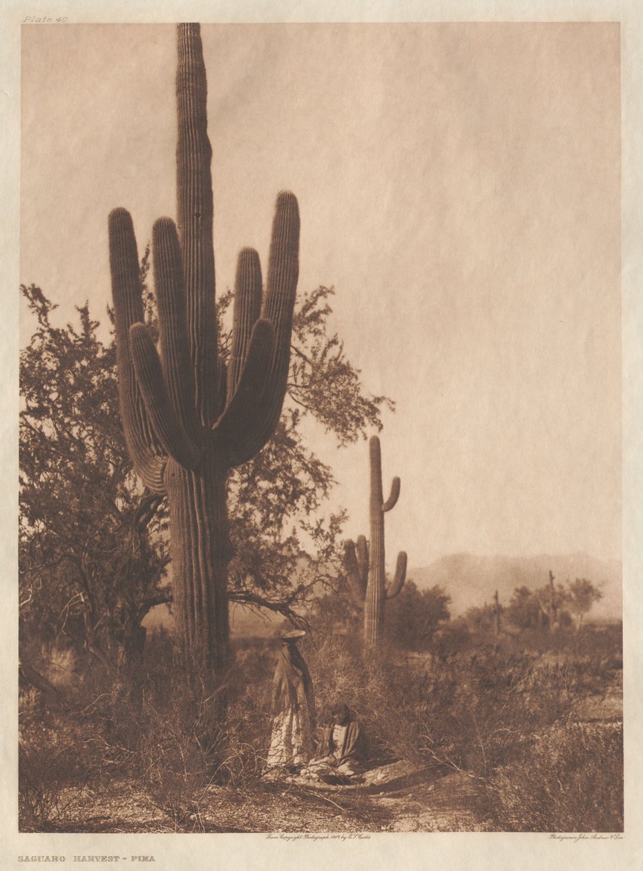 Salkku II, taulut 40-75 tekijältä Edward S. Curtis