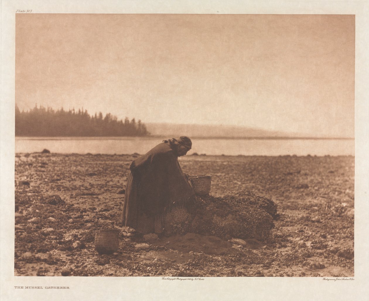 Portfolio IX, levy 313: Sinisimpukoiden keräilijä tekijältä Edward S. Curtis