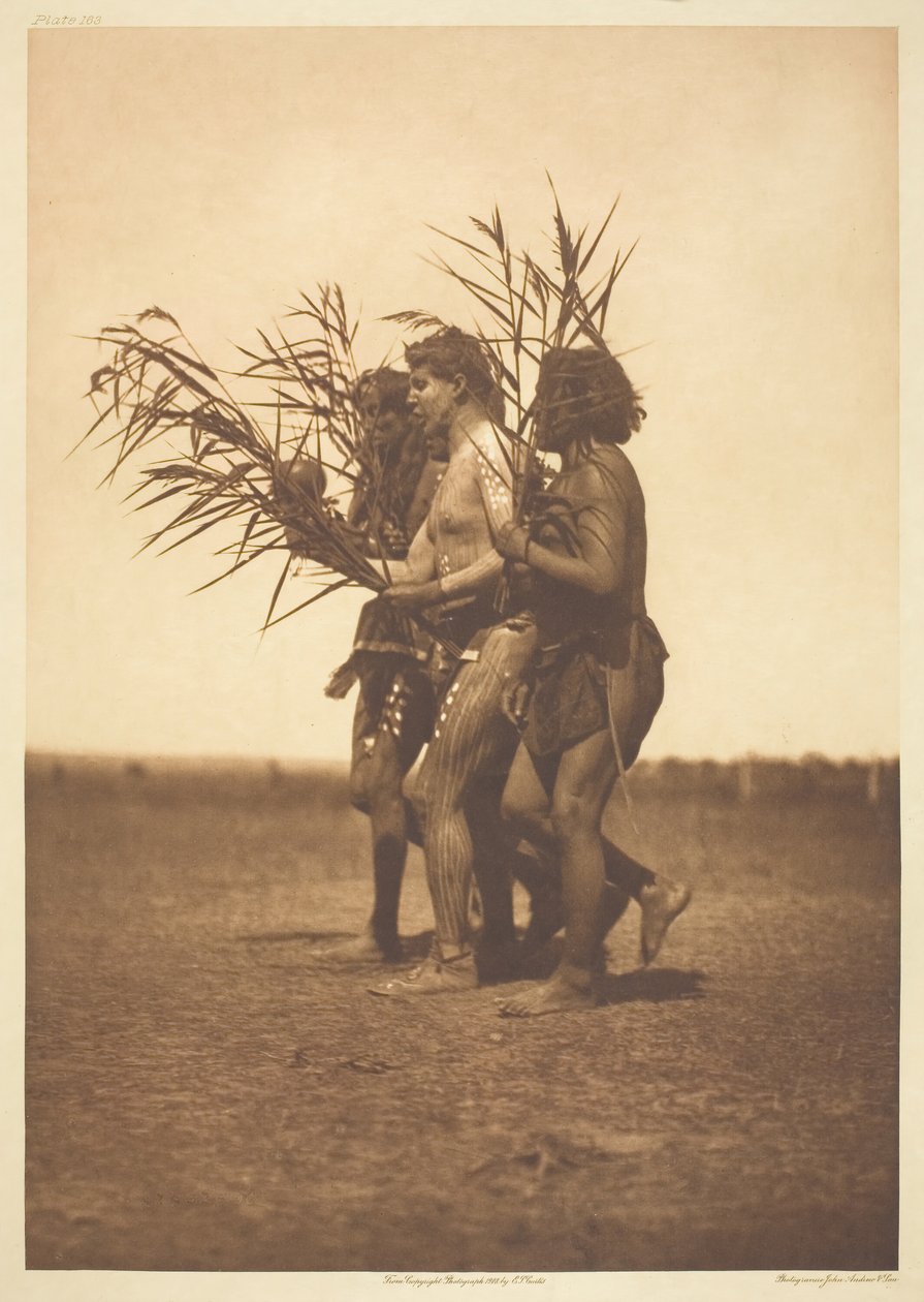 Arikara lääketieteen seremonia - ankat, 1908. tekijältä Edward Sheriff Curtis