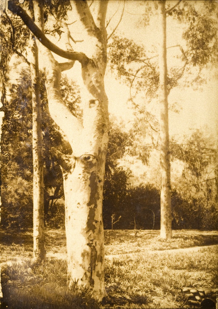 Auf dem Bauernhof, Seattle, Washington tekijältä Edward Sheriff Curtis