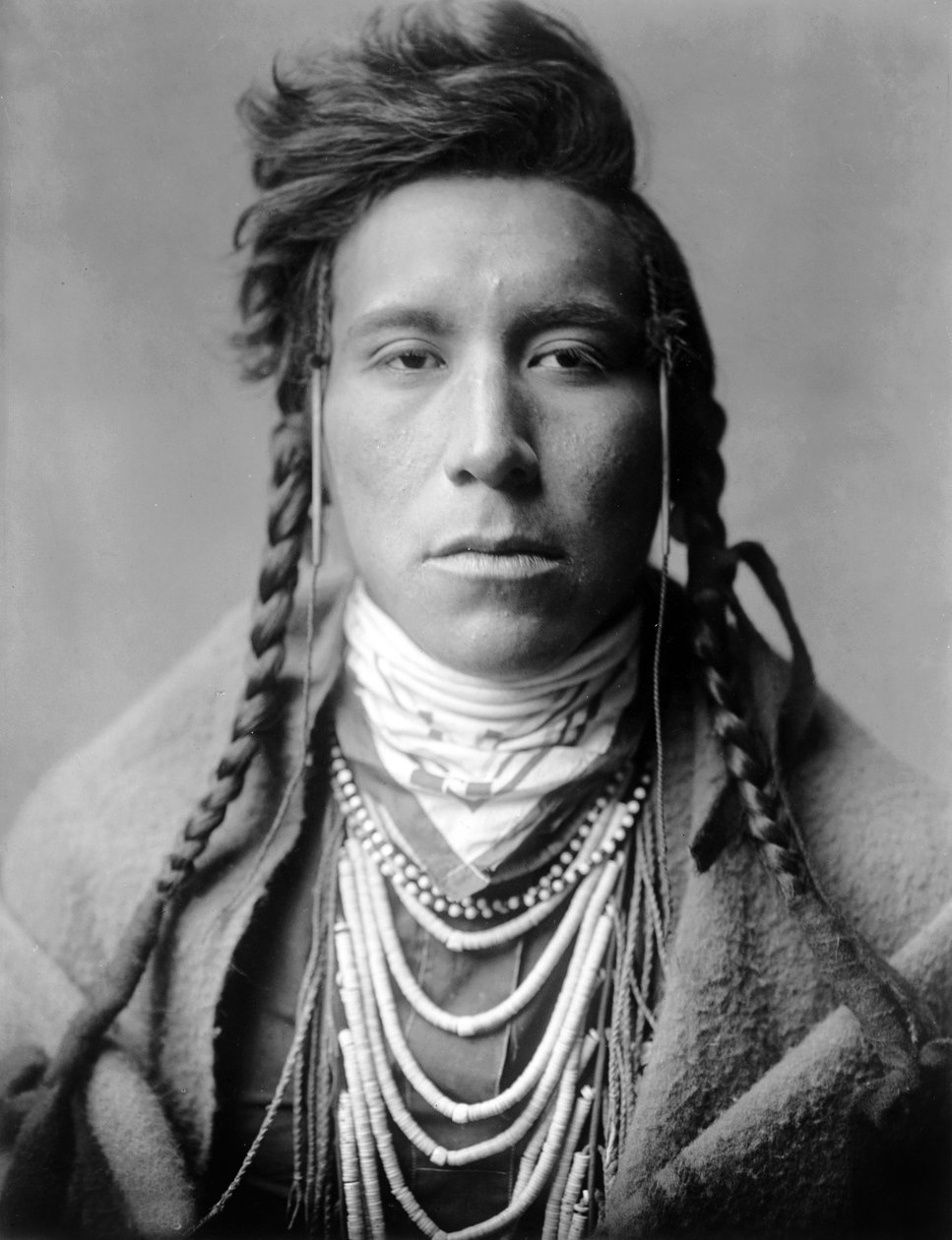 Bird on High Land, Crow Indian, Montana, USA, n. 1908, valokuva Edward S. Curtis tekijältä Edward Sheriff Curtis