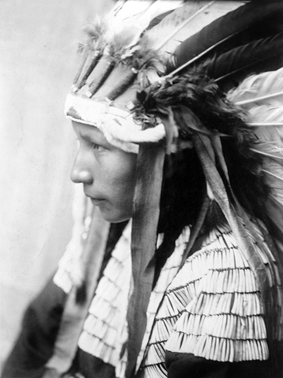 Cheyenne tyttö, Bad Horsen tytär (profiili), n. 1905, valokuva Edward S. Curtis tekijältä Edward Sheriff Curtis