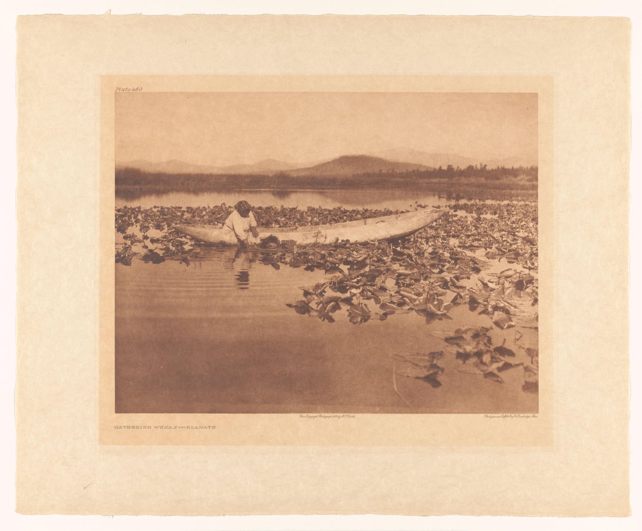 Wokien kerääminen – Klamath tekijältä Edward Sheriff Curtis