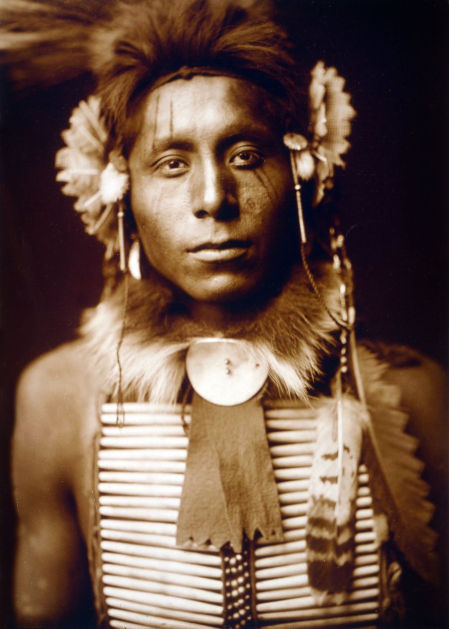 Istuva kotka, varismies, n. 1905, valokuva Edward S. Curtis tekijältä Edward Sheriff Curtis