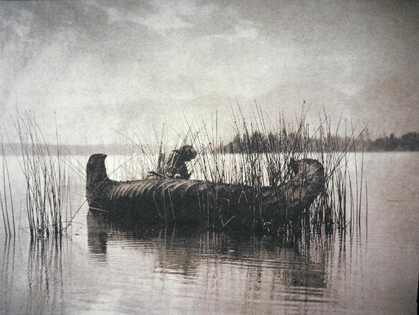 The Rush Gatherer, Montana (m/v kuva) tekijältä Edward Sheriff Curtis