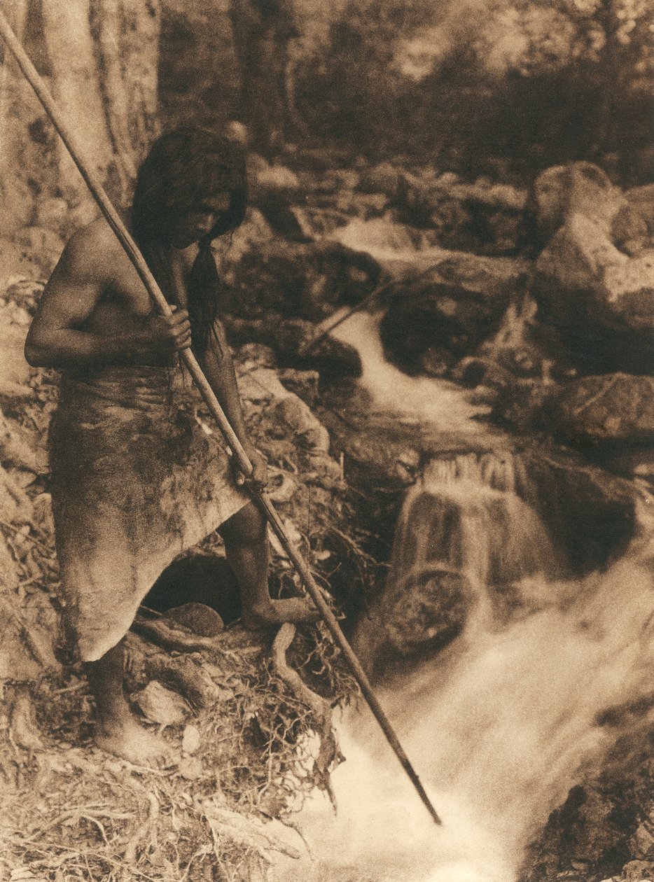 Hupa-heimon tai -kylän nuori intiaani kalastamassa lohta pitkällä kepillä. Hänellä on lanteidensa ympärille sidottu eläinnahka. Hänen takanaan metsä ja puro tekijältä Edward Sheriff Curtis