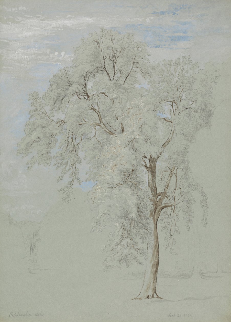 Saarni tekijältä Edward Swinburne