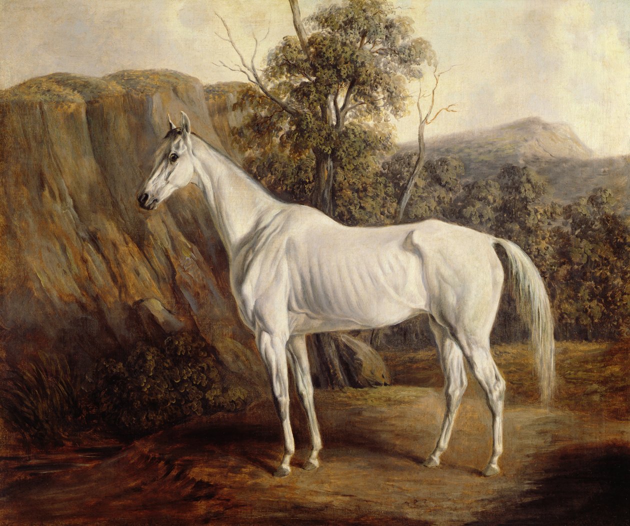 Bolivia, 1836 tekijältä Edward Troye