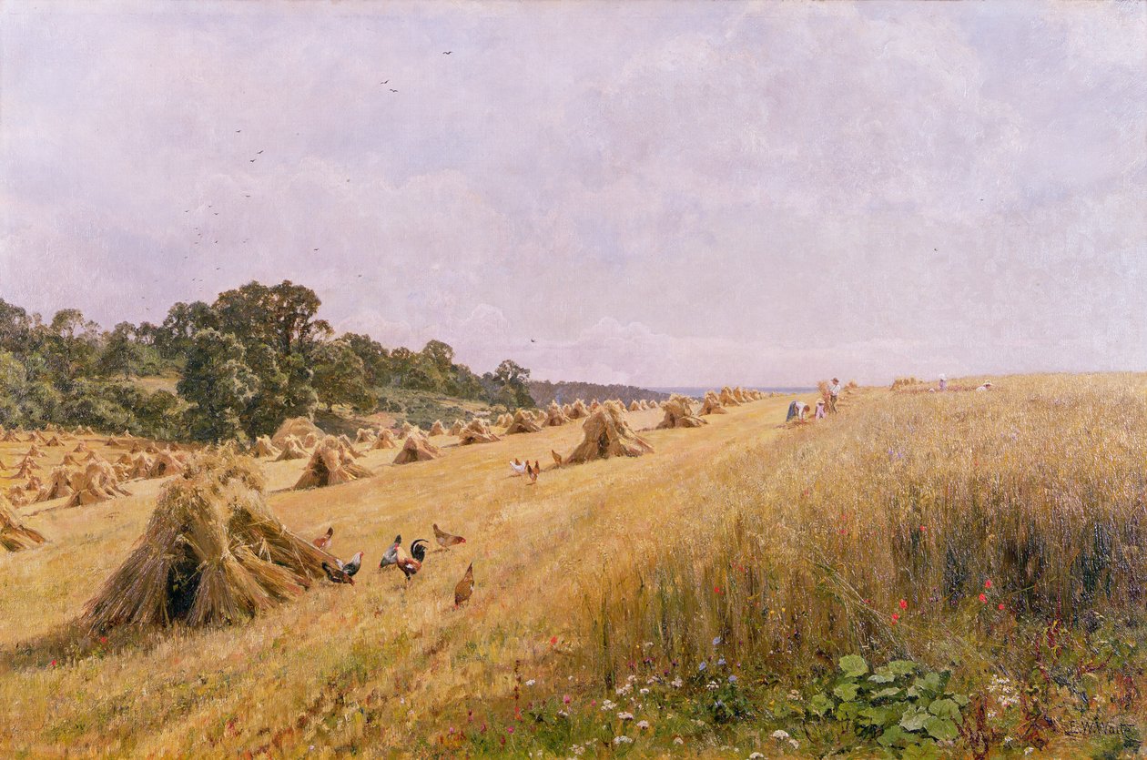 Cornfield Harvest tekijältä Edward Wilkins Waite